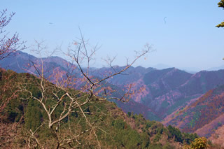 高尾山の風景